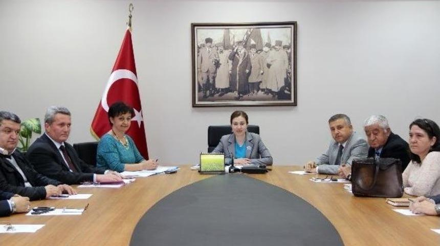 İnsan Hakları Eğitimi