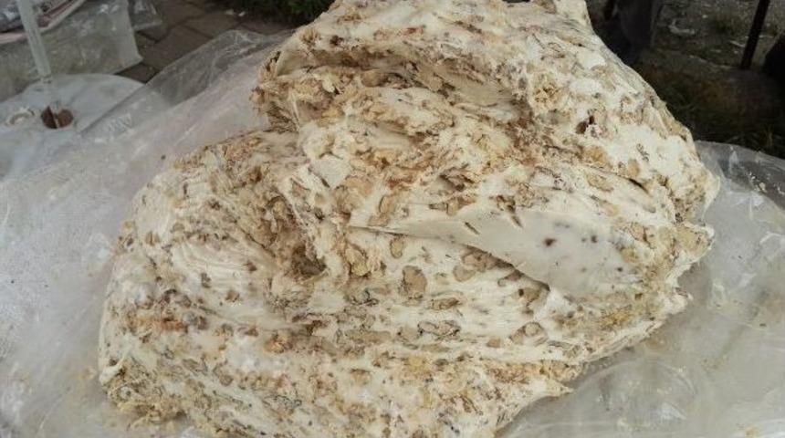 Ordu&rsquo;nun Cevizli Helvası Manisa&rsquo;nın Mesir Macununa Rakip