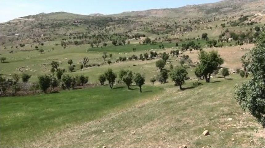 'nuh: B&uuml;y&uuml;k Tufan' Filmindeki Gemi Şırnak'a Getiriliyor