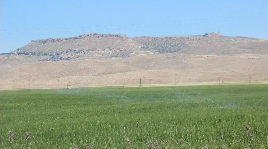 Mardin'de Tarım Alanında Kullanılan Elektriğin Y&uuml;zde 90'ı Tahsil Edilemiyor