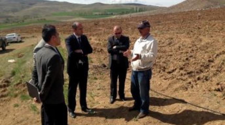 Gemerek&rsquo;te Sert Kabuklu Meyve Uygulaması Başlatıldı