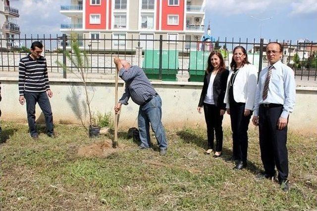 Aydın&rsquo;da D&uuml;nya Astım G&uuml;n&uuml; Ağa&ccedil;landırma Etkinliği Yapıldı 1
