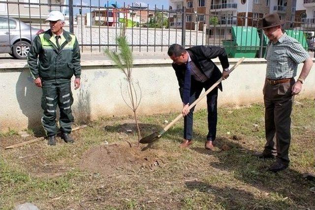 Aydın&rsquo;da D&uuml;nya Astım G&uuml;n&uuml; Ağa&ccedil;landırma Etkinliği Yapıldı 2