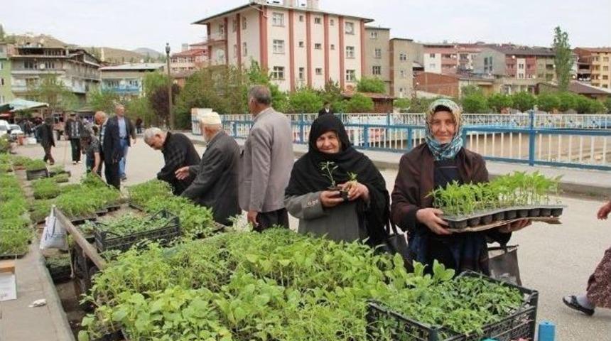 Kurak Hava Fidecileri Etkiliyor