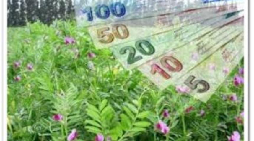 2014 Yılı Yem Bitkileri Desteklemeleri A&ccedil;ıklandı