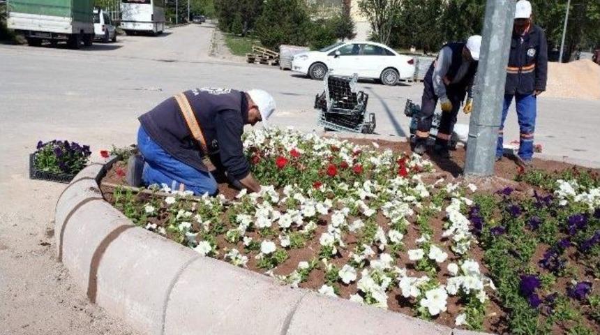 G&uuml;ltepe Mahallesi'nde &Uuml;st Yapı &Ccedil;alışmaları