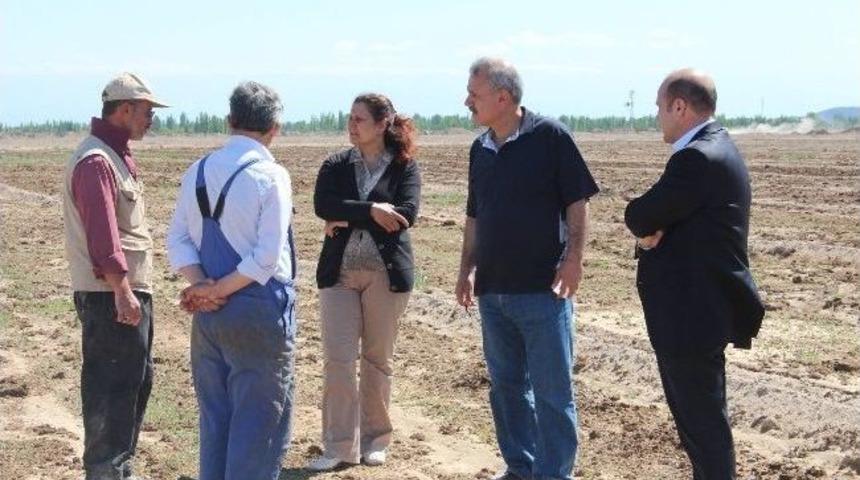 Iğdır'da Erozyonla M&uuml;cadele Projesi