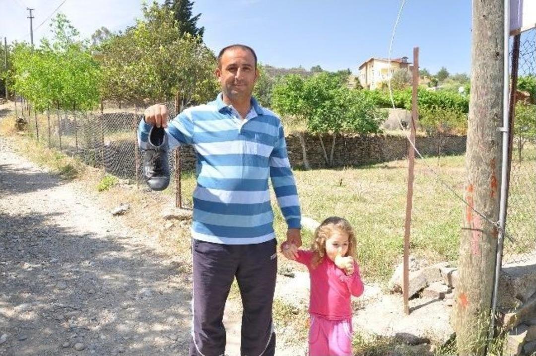 K&ouml;pekler Mahalleliyi Bezdirdi