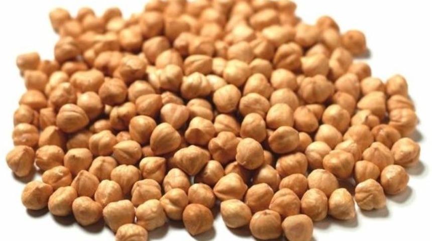 Ordu Organik Fındık &Uuml;retiminde De Lider