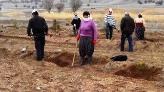 Afyonkarahisar’da 51 Bin Fidan Toprakla Buluştu