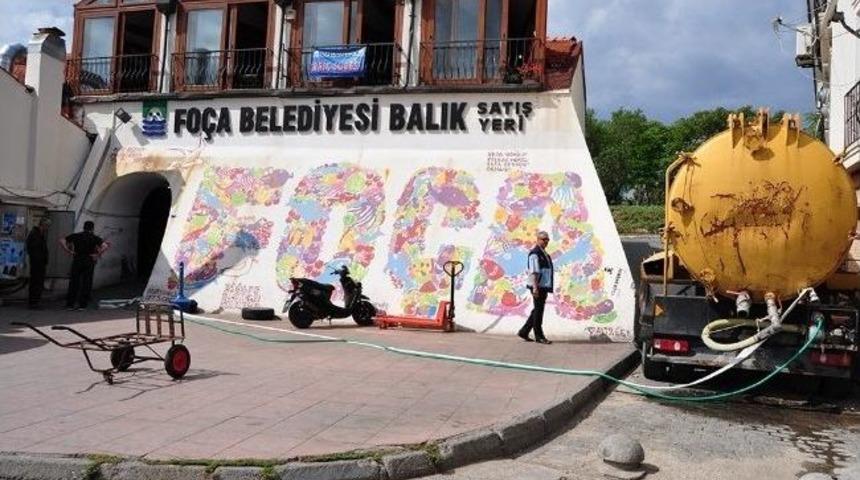 Fo&ccedil;a Balık Hali Yaz Sezonuna Hazır