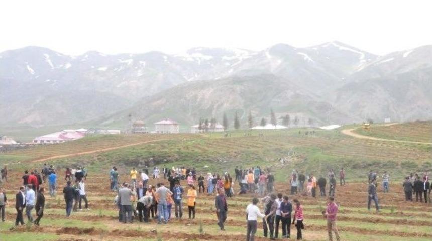 Be&uuml; Kampus Alanına Bir Milyon Fidan Dikilecek