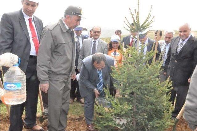 Be&uuml; Kampus Alanına Bir Milyon Fidan Dikilecek 1