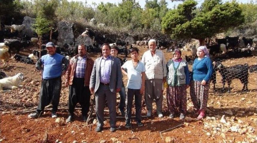 D&ouml;rt Boynuzlu Dev Yılan K&ouml;yl&uuml;ye Korku Saldı