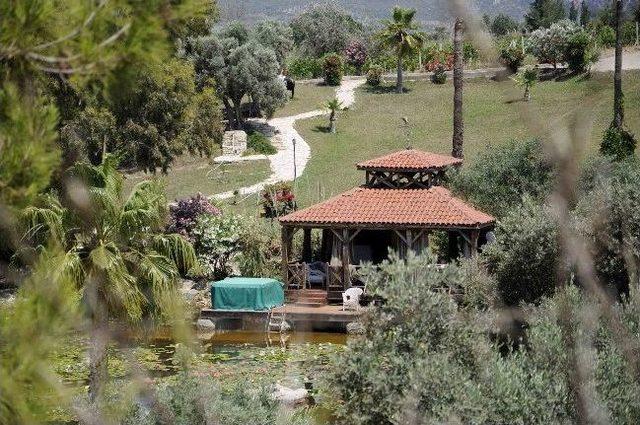 (özel Haber) Tansu Çiller’in Çiftliğinde Hırsızlık