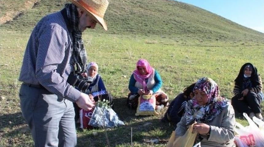 Başkan &Ouml;zg&ouml;k&ccedil;e&rsquo;den Pancar Zehirlenmeleri Uyarısı