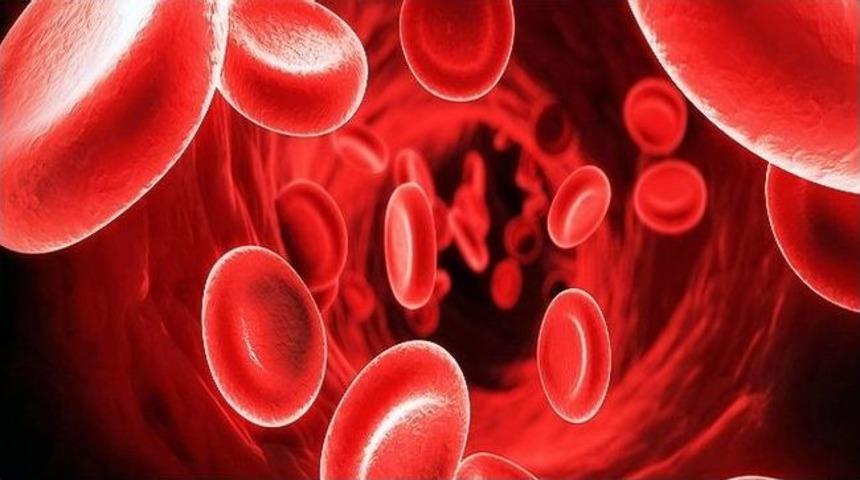 Dr. Okur: &ldquo;talesemi, T&uuml;rkiye&rsquo;de Bir Halk Sağlığı Sorunu Haline Geldi&rdquo;