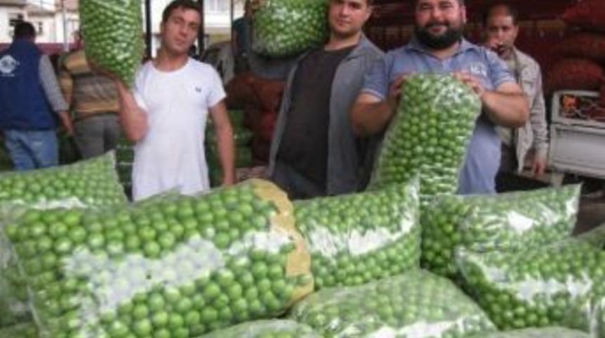&Ouml;demiş&rsquo;te Erik Fiyatları 2 Tl Civarında