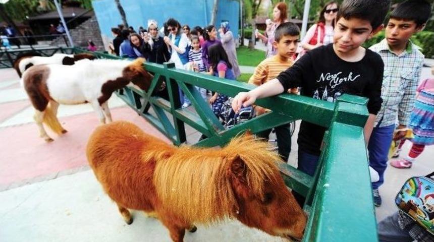 Ke&ccedil;i&ouml;ren Evcil Hayvanlar Parkı Şenlendi