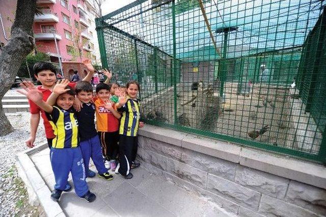 Keçiören Evcil Hayvanlar Parkı Şenlendi