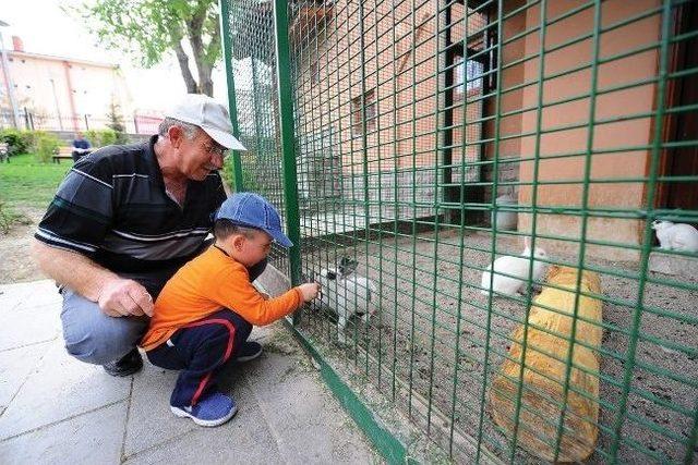 Keçiören Evcil Hayvanlar Parkı Şenlendi