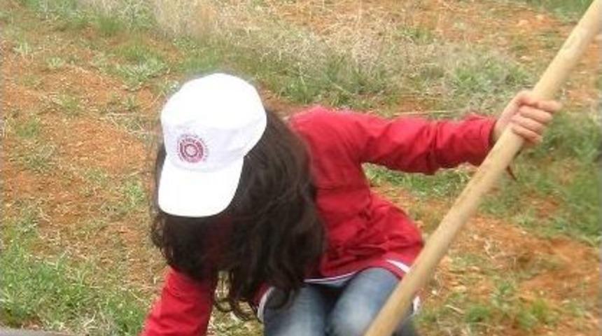 B&uuml;y&uuml;kşehir Belediyesi &Ccedil;ocuk Meclisi Ormanı B&uuml;y&uuml;yor