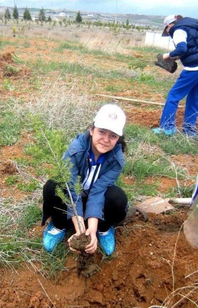 B&uuml;y&uuml;kşehir Belediyesi &Ccedil;ocuk Meclisi Ormanı B&uuml;y&uuml;yor 1