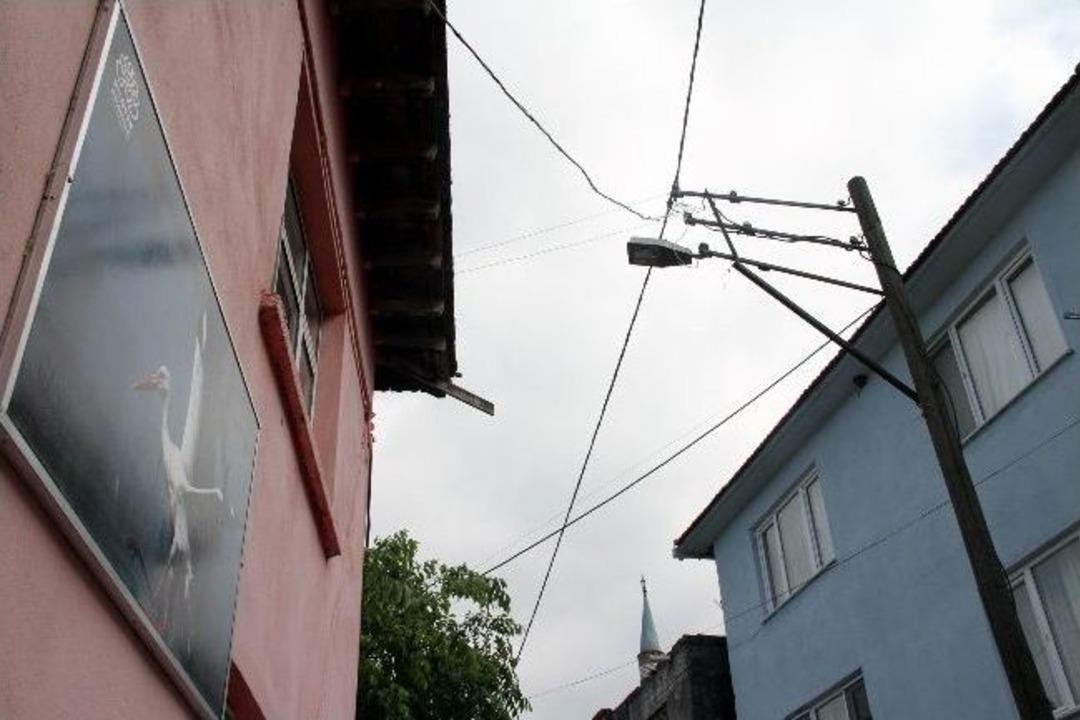 (&ouml;zel Haber) Leyleklerin &Ouml;lmemesi İ&ccedil;in &Ouml;zel &Ouml;nlem