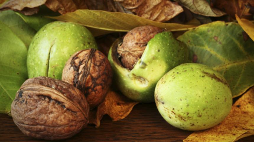 Rahat bir uyku i&ccedil;in uyumanıza yardımcı yiyecekler yemelisiniz