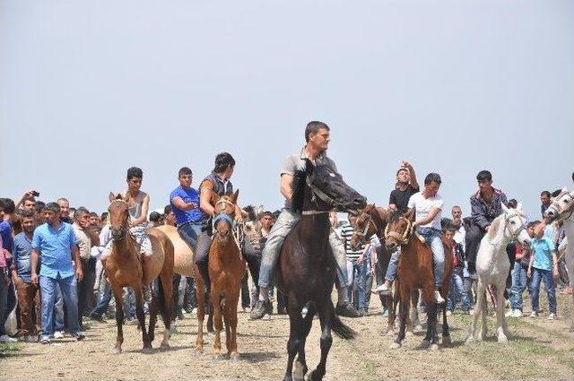 Muş’ta Lale Festivali