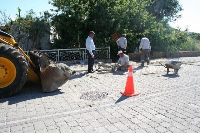 Bodrum Belediyesi Ekipleri Tüm Yarımada’da Çalışıyor