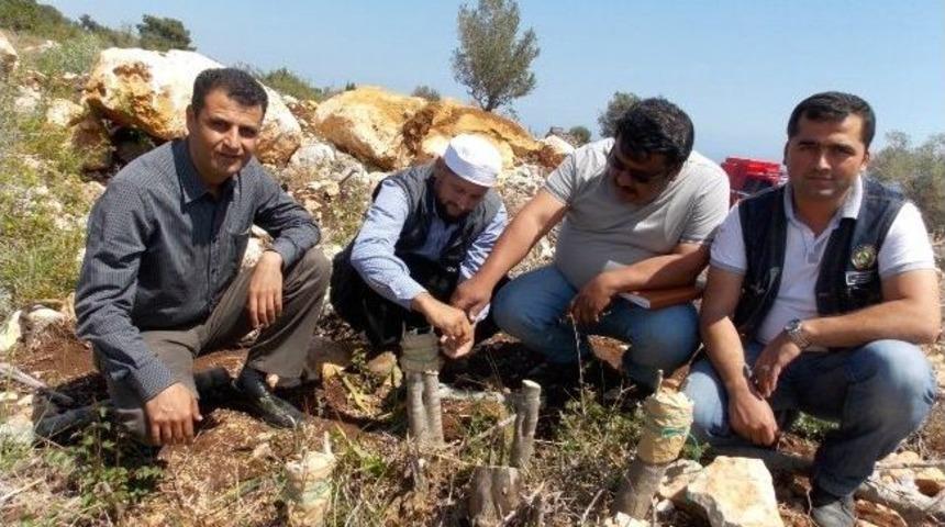 Bozuk Maki Sahaları Verimli Hale Getiriliyor