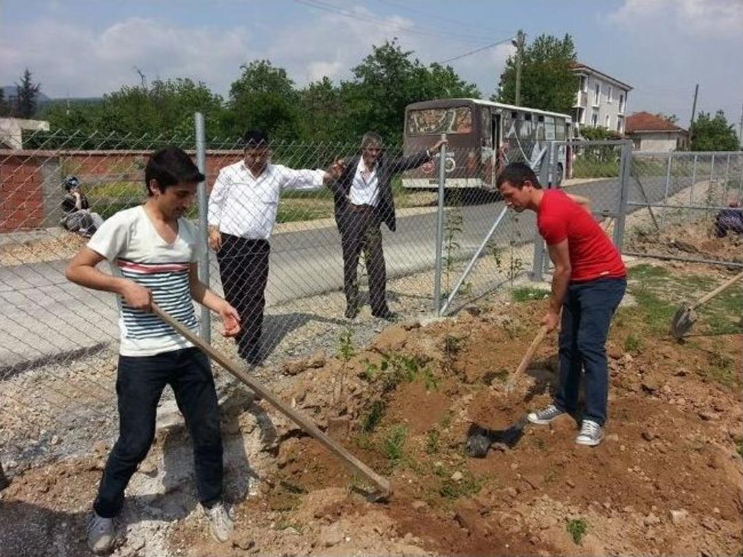 Fidanlar Toprakla Buluştu