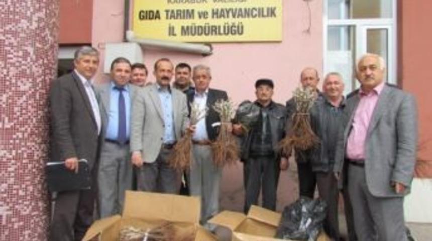 Tarım M&uuml;d&uuml;rl&uuml;ğ&uuml;nden Bağcılık Gelişimi Projesi