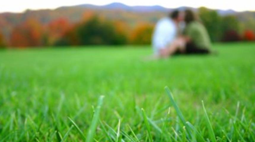 Meclis bah&ccedil;esinde inanılmaz manzara!