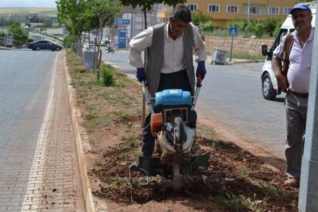 Kahta İlçe Girişi Modernize Ediliyor 1