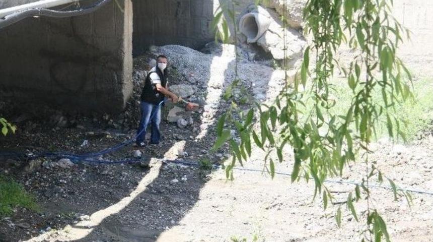 Sungurlu&rsquo;da Larva İla&ccedil;lama &Ccedil;alışması