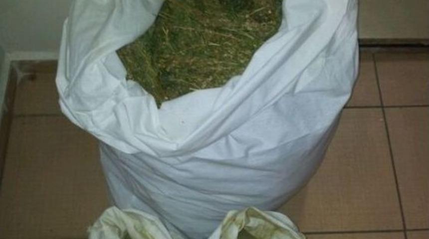 Bing&ouml;l'de 15 Kilogram Esrar Ele Ge&ccedil;irildi