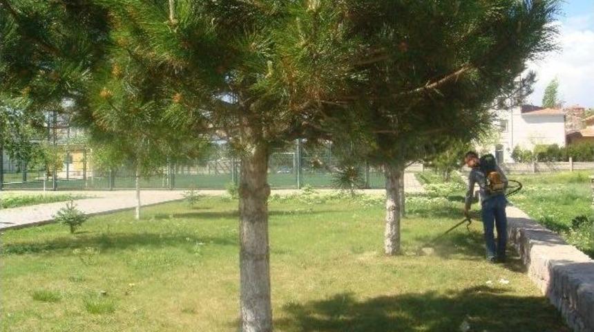 İncesu Belediyesinden Yeşil Alan Atağı