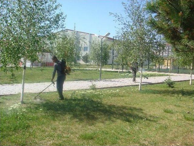 İncesu Belediyesinden Yeşil Alan Atağı 2