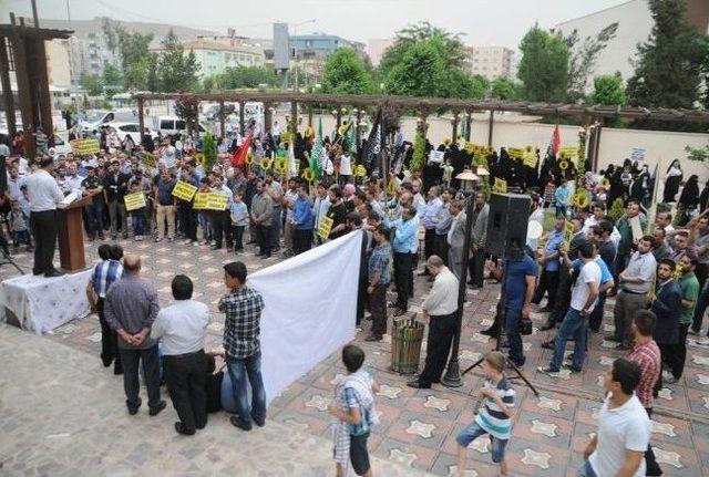 Cizre’de Mısır’daki İdam Kararları Protesto Edildi