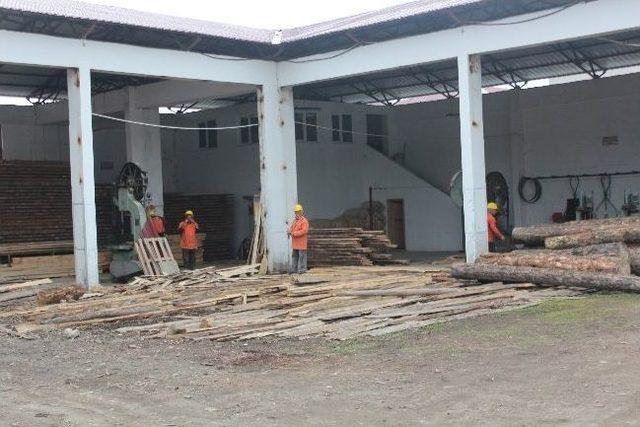 Misafirhane Gibi Cezaevi 1