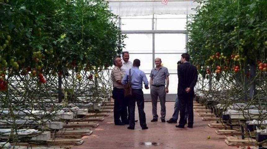 Kosova İş D&uuml;nyası, G&uuml;ney Ege Ziyareti Tamamladı