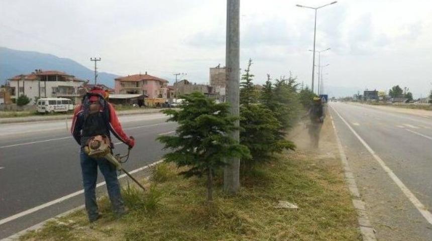 Yol Kenarlarında &Ccedil;ıkan Yabani Otlar Temizlendi