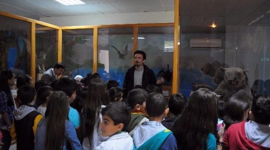 &Ouml;ğrenciler Herbaryum, M&uuml;ze Ve Laboratuvarlarını İnceledi