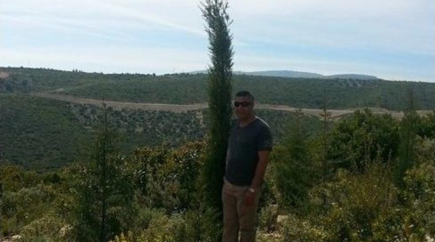 Karaburun Yarımadası, Artık Yeşilburun Yarımadası