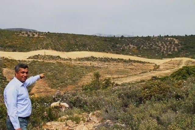 Karaburun Yarımadası, Artık Yeşilburun Yarımadası