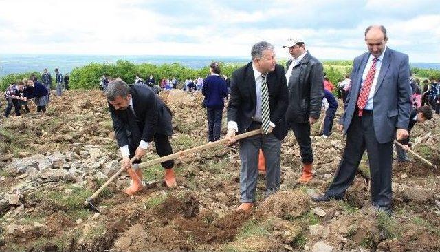 Vize’de Bin 500 Adet Sedir Fidanı Dikildi