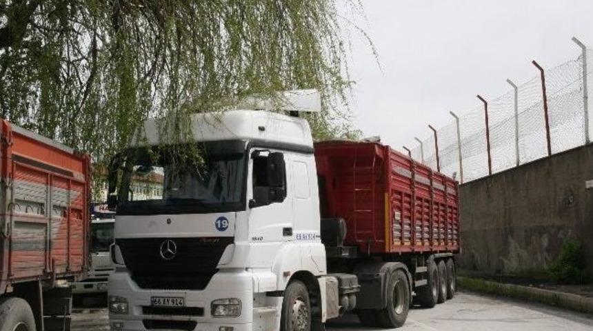 Yozgat&rsquo;ta Yol Kenarlarına Sarkan Ağa&ccedil; Dalları Trafik Akışını Engelliyor