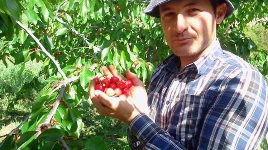 Y&uuml;ksek Fiyattan Satılan Erik Ve Kiraz, &Uuml;reticisinin Y&uuml;z&uuml;n&uuml; G&uuml;ld&uuml;rd&uuml;